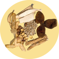 Lung Nourishing Soup (1)